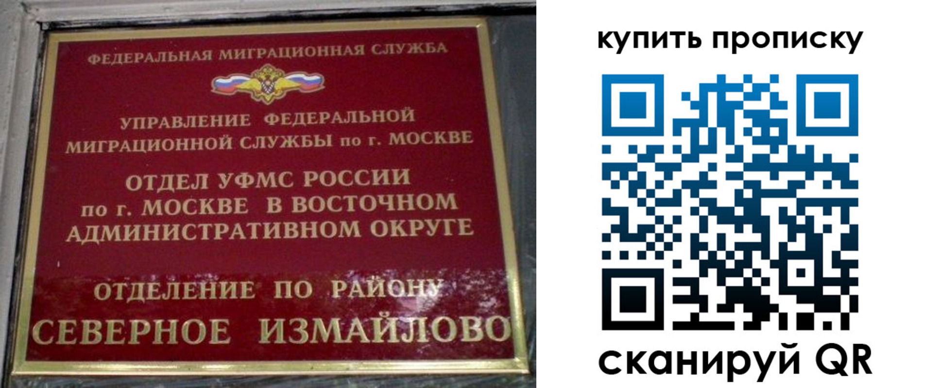 прописка в квартире в Мурманске